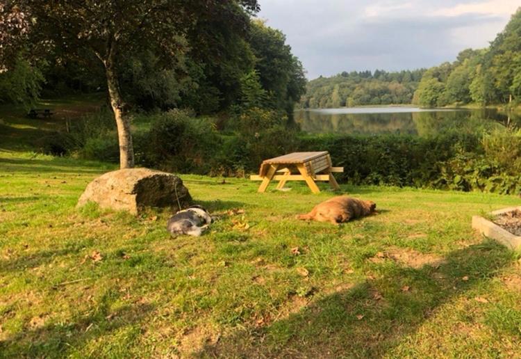 La Forge B&B Perret  Kültér fotó